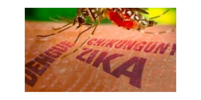 Virus Zika