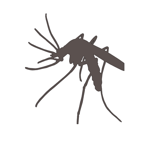 Enfermadad Transmitida por mosquitos en Europa 